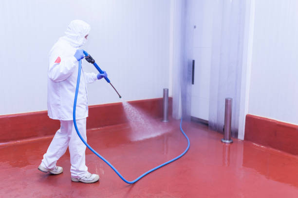 Reliable Hillview, KY  Pressure Washing Services Solutions