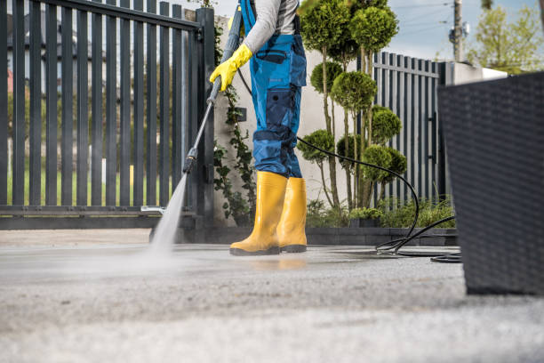 Best Driveway Pressure Washing  in Hillview, KY